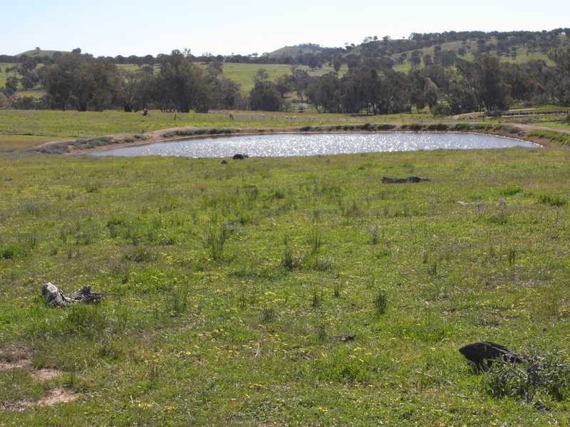 Back Station Creek Reno Road, Gundagai NSW 2722