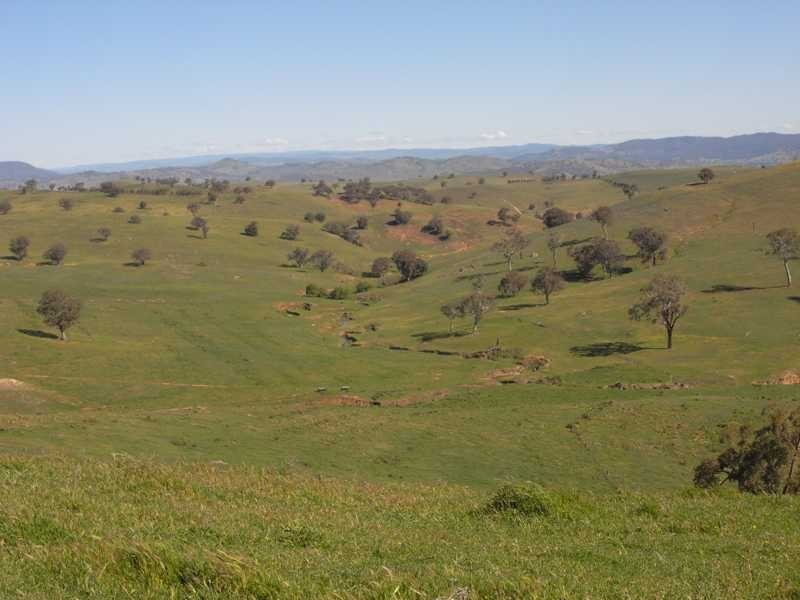 Back Station Creek Reno Road, Gundagai NSW 2722