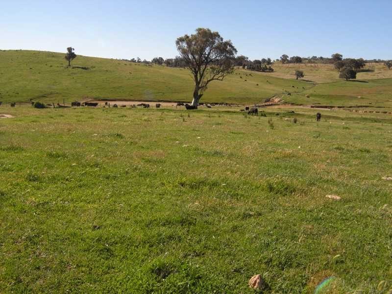 Back Station Creek Reno Road, Gundagai NSW 2722