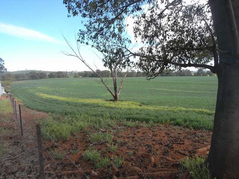 1 Wyandra, Muttama NSW 2722