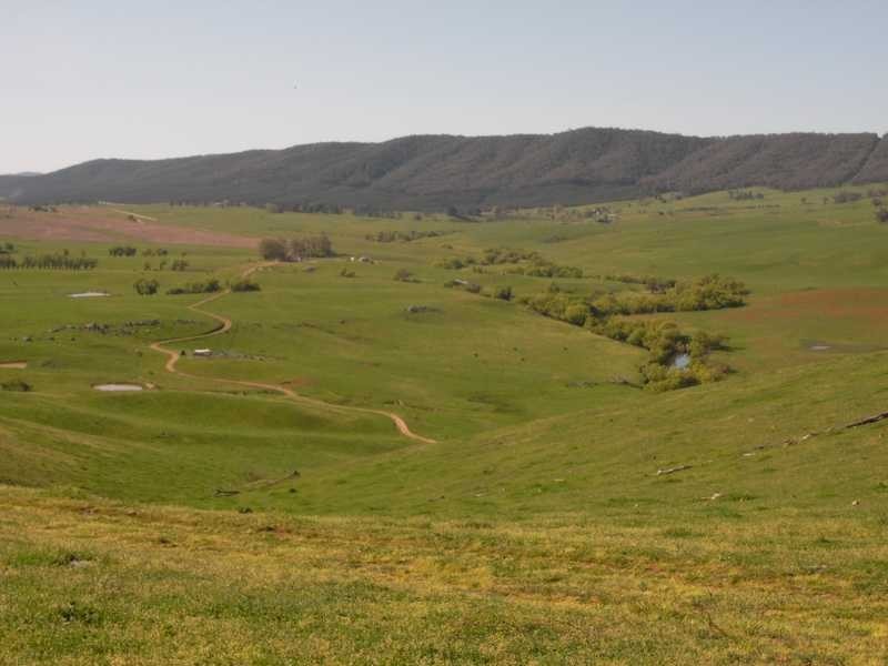 19 Mannus Creek Road, Tumbarumba NSW 2653