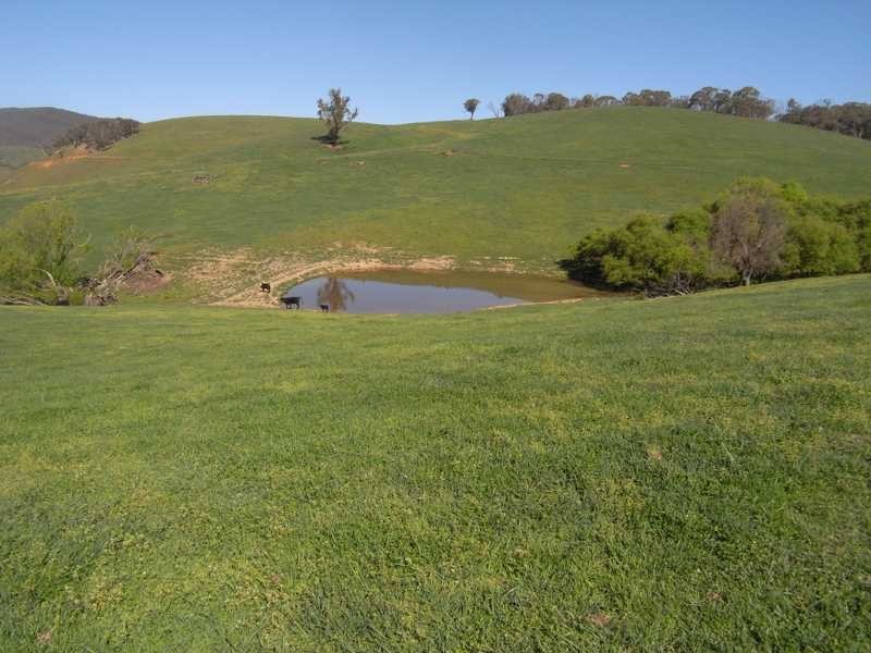 19 Mannus Creek Road, Tumbarumba NSW 2653