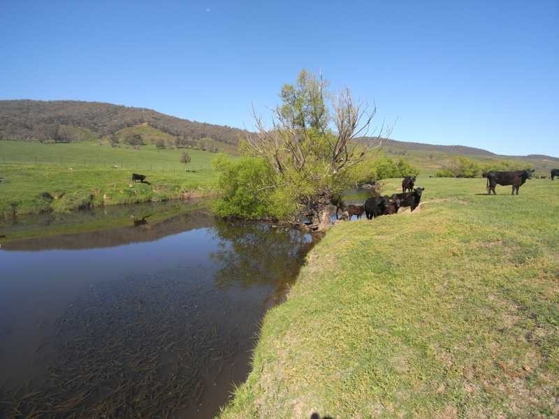 19 Mannus Creek Road, Tumbarumba NSW 2653