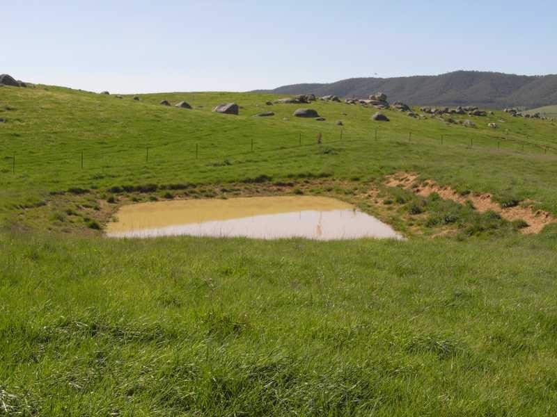 19 Mannus Creek Road, Tumbarumba NSW 2653