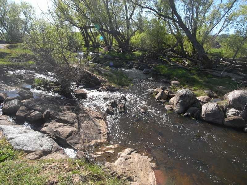 19 Mannus Creek Road, Tumbarumba NSW 2653