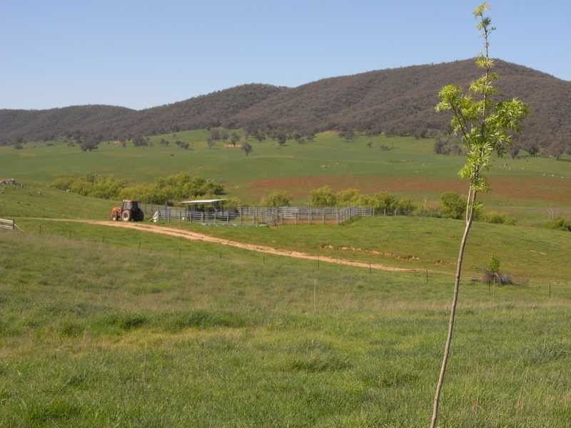 19 Mannus Creek Road, Tumbarumba NSW 2653