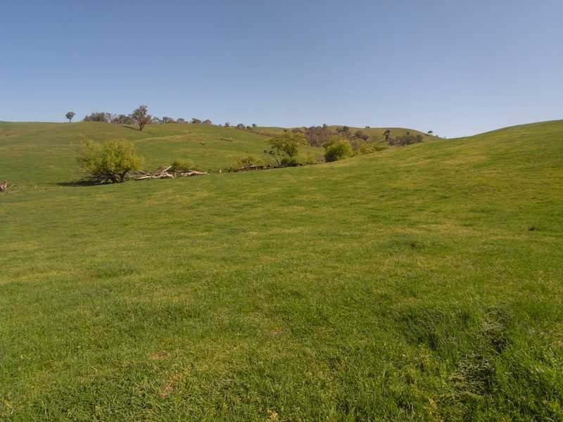 19 Mannus Creek Road, Tumbarumba NSW 2653