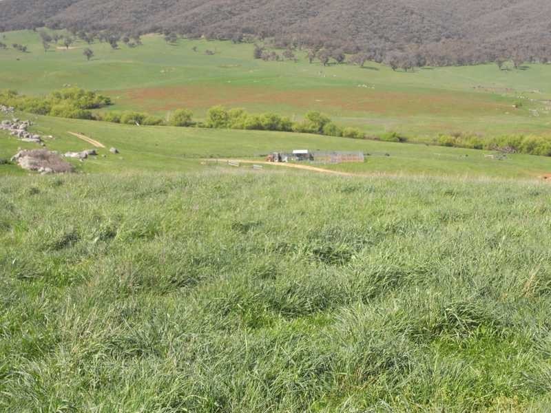 19 Mannus Creek Road, Tumbarumba NSW 2653