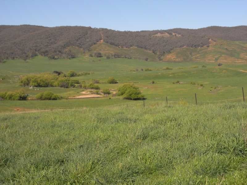 19 Mannus Creek Road, Tumbarumba NSW 2653