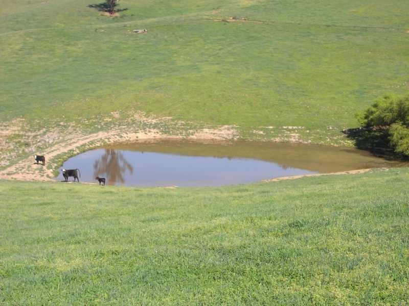 19 Mannus Creek Road, Tumbarumba NSW 2653