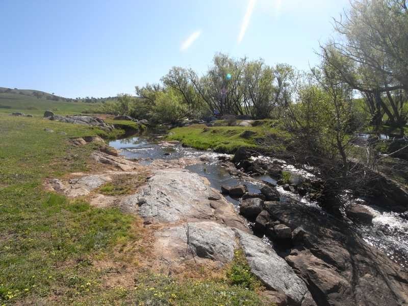 19 Mannus Creek Road, Tumbarumba NSW 2653