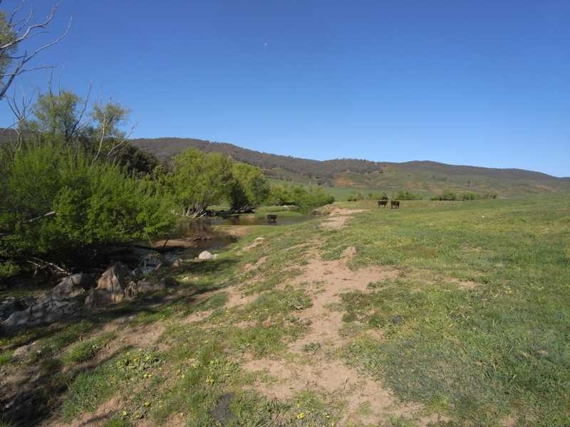 19 Mannus Creek Road, Tumbarumba NSW 2653