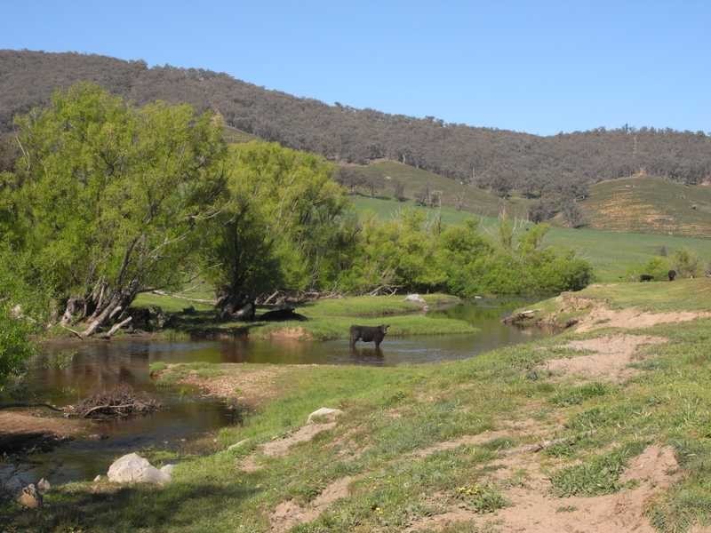 19 Mannus Creek Road, Tumbarumba NSW 2653