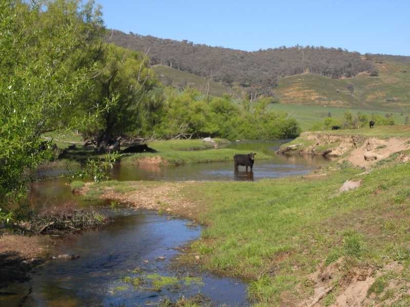 19 Mannus Creek Road, Tumbarumba NSW 2653