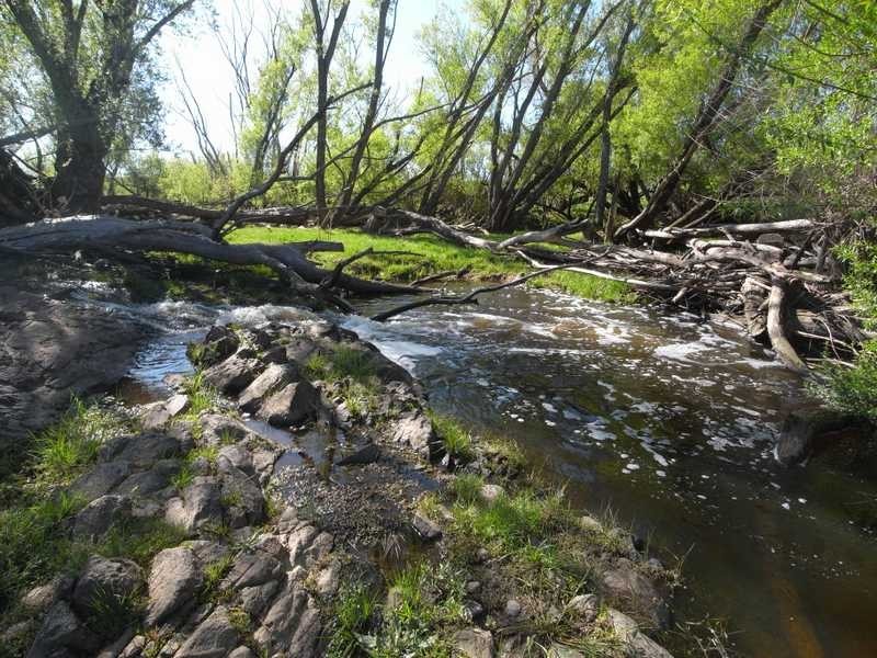 19 Mannus Creek Road, Tumbarumba NSW 2653