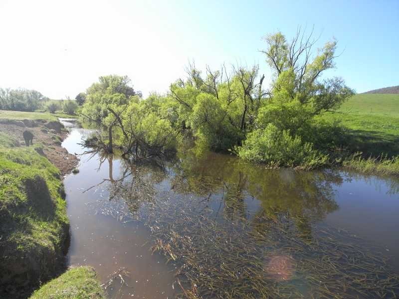 19 Mannus Creek Road, Tumbarumba NSW 2653