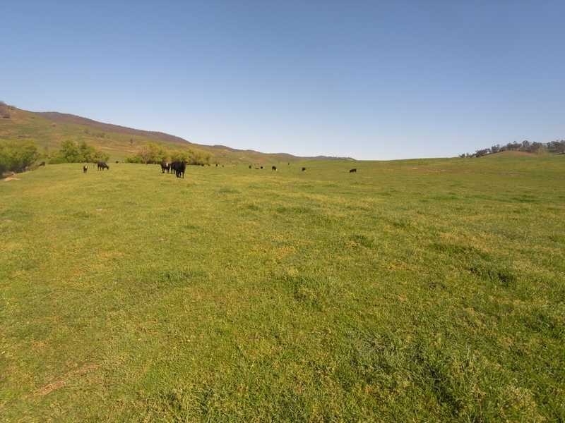 19 Mannus Creek Road, Tumbarumba NSW 2653