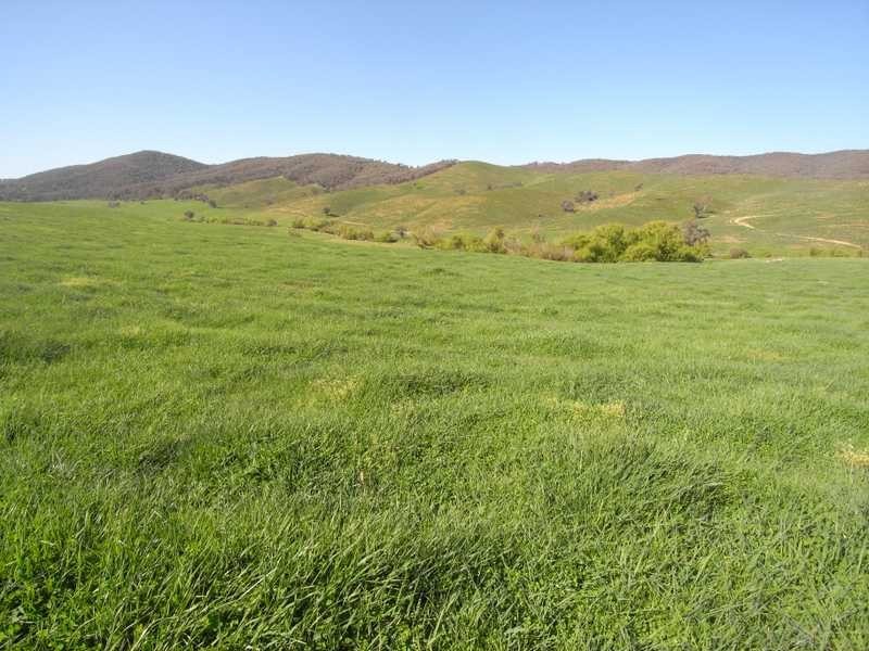 19 Mannus Creek Road, Tumbarumba NSW 2653