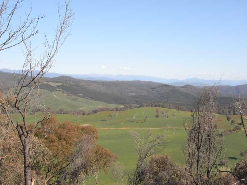 2 Walteela Road, Tumbarumba NSW 2653