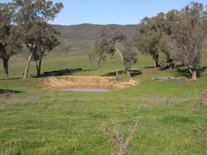 2 Walteela Road, Tumbarumba NSW 2653