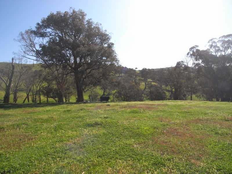 2 Walteela Road, Tumbarumba NSW 2653