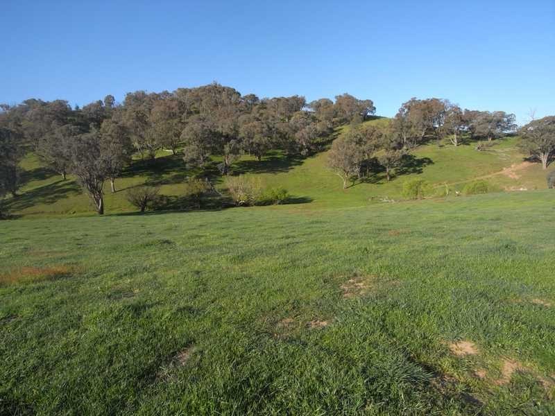 3 Walteela Road, Tumbarumba NSW 2653