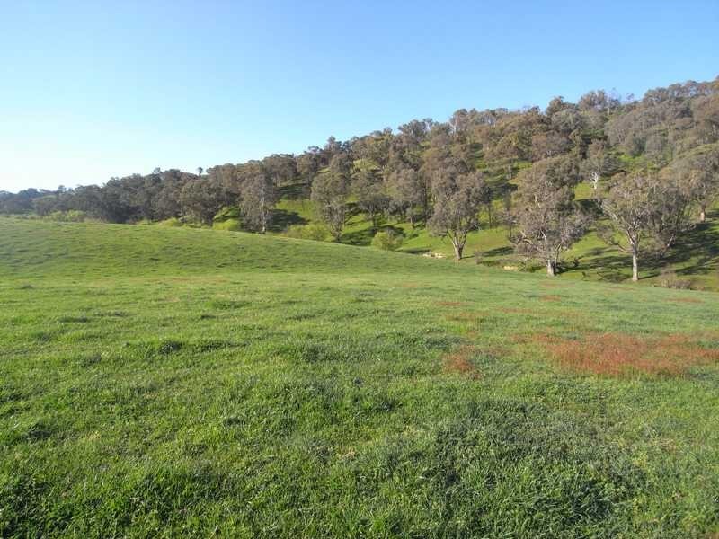 3 Walteela Road, Tumbarumba NSW 2653