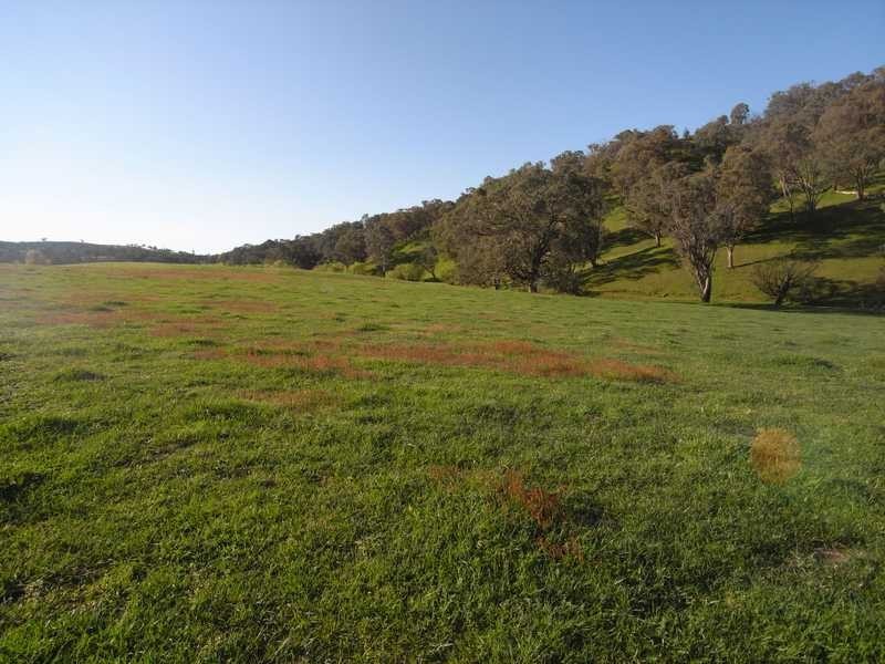 3 Walteela Road, Tumbarumba NSW 2653