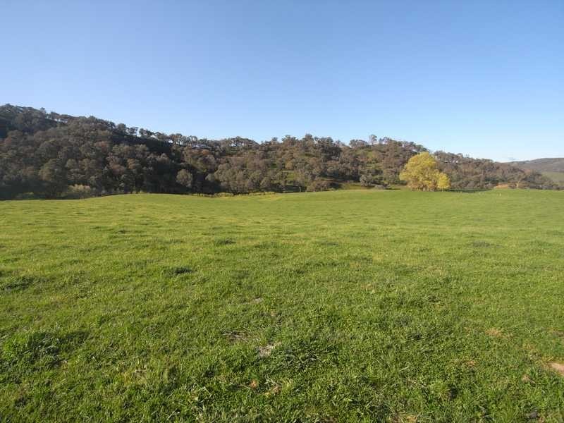 4 Walteela Road, Tumbarumba NSW 2653