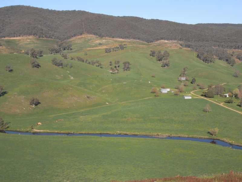 4 Walteela Road, Tumbarumba NSW 2653