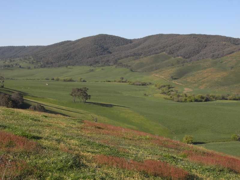 4 Walteela Road, Tumbarumba NSW 2653