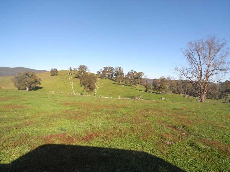 4 Walteela Road, Tumbarumba NSW 2653