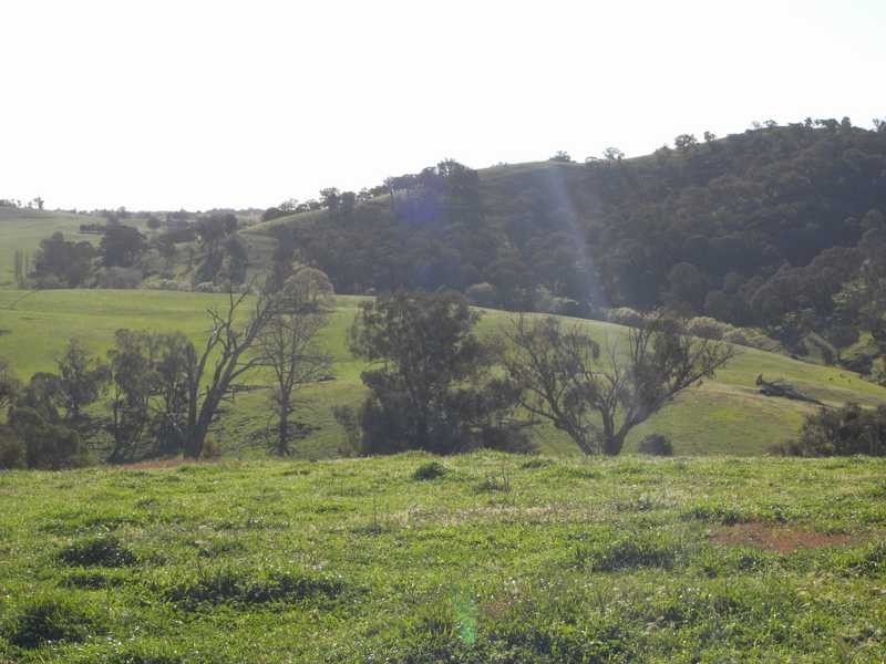 4 Walteela Road, Tumbarumba NSW 2653