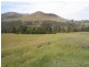 360 Kangaroo Mount Road, Gundagai NSW 2722