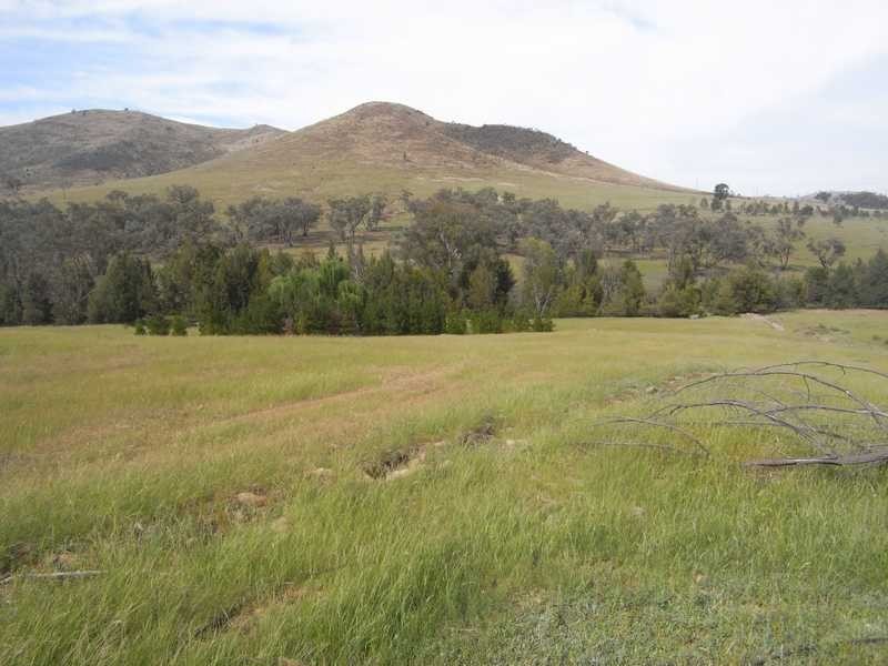 360 Kangaroo Mount Road, Gundagai NSW 2722