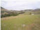 360 Kangaroo Mount Road, Gundagai NSW 2722