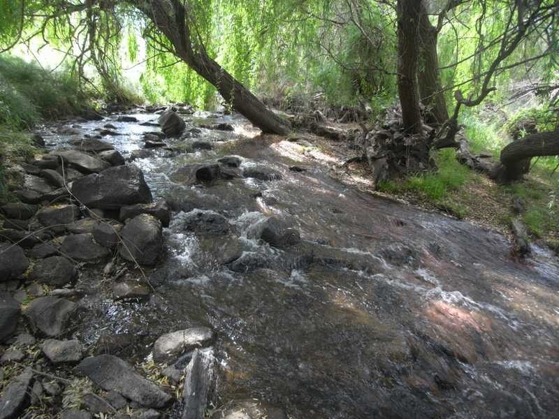 360 Kangaroo Mount Road, Gundagai NSW 2722