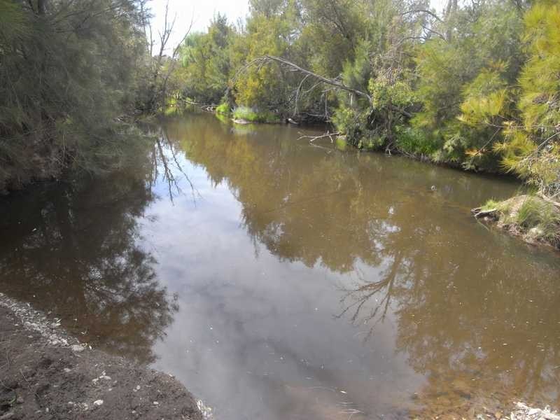 360 Kangaroo Mount Road, Gundagai NSW 2722