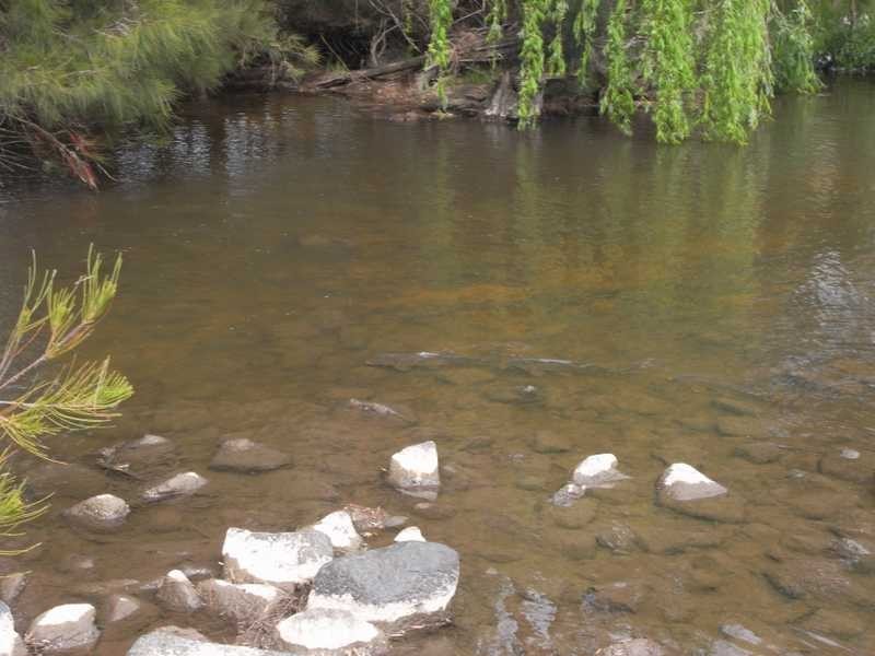 360 Kangaroo Mount Road, Gundagai NSW 2722