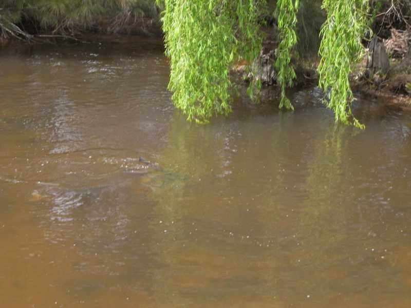 360 Kangaroo Mount Road, Gundagai NSW 2722