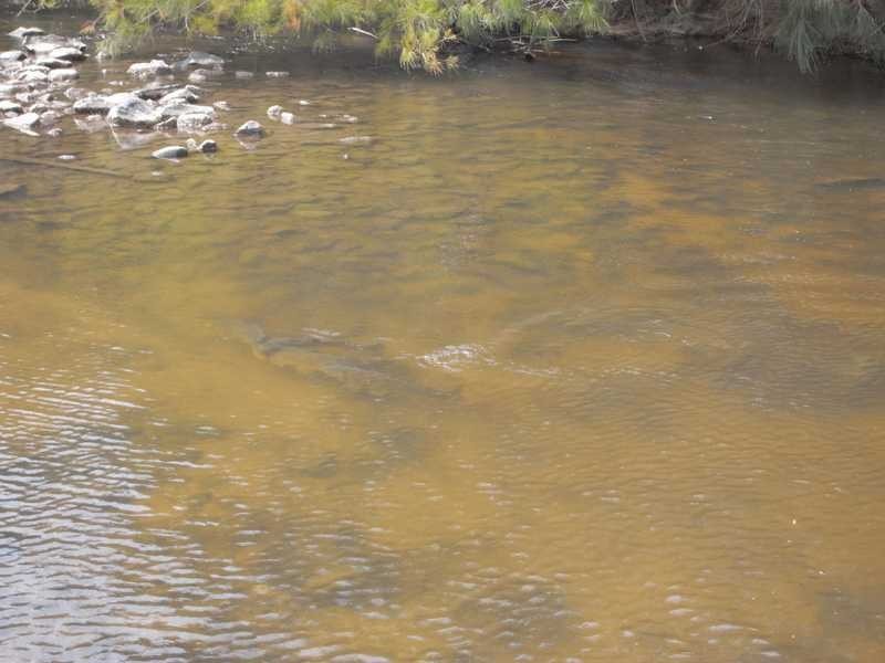 360 Kangaroo Mount Road, Gundagai NSW 2722