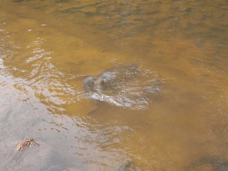 360 Kangaroo Mount Road, Gundagai NSW 2722