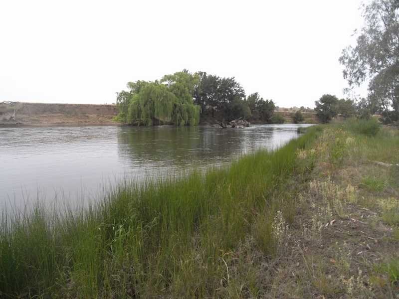 Murrumbidgee River, Gundagai NSW 2722