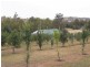 Murrumbidgee River, Gundagai NSW 2722