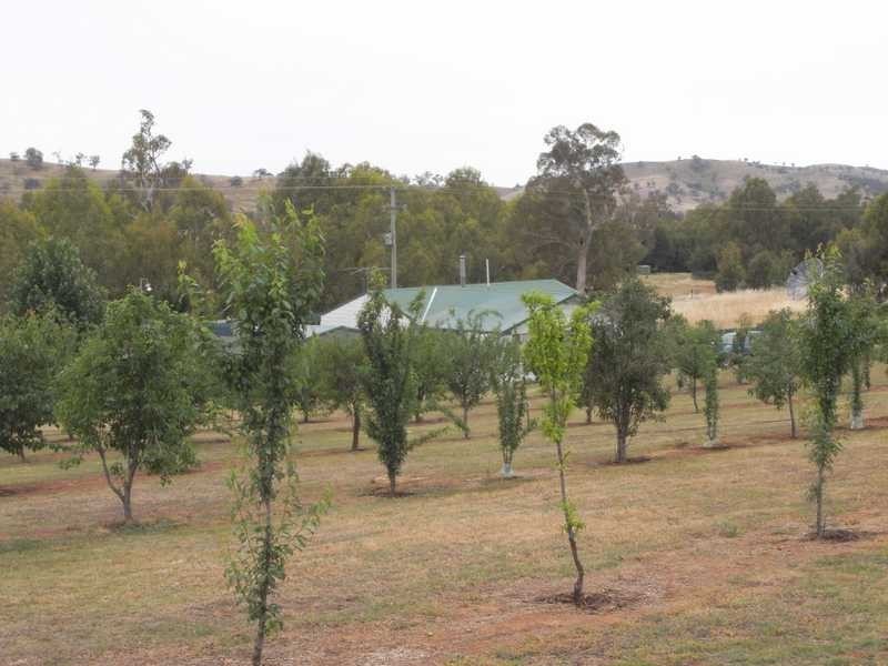 Murrumbidgee River, Gundagai NSW 2722