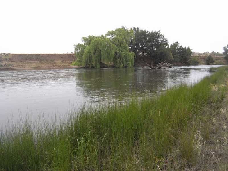 Murrumbidgee River, Gundagai NSW 2722