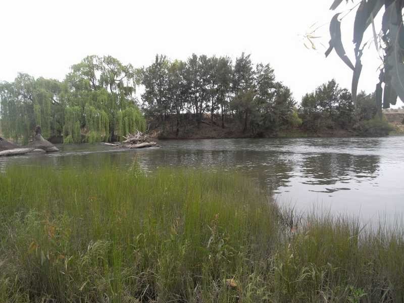 Murrumbidgee River, Gundagai NSW 2722