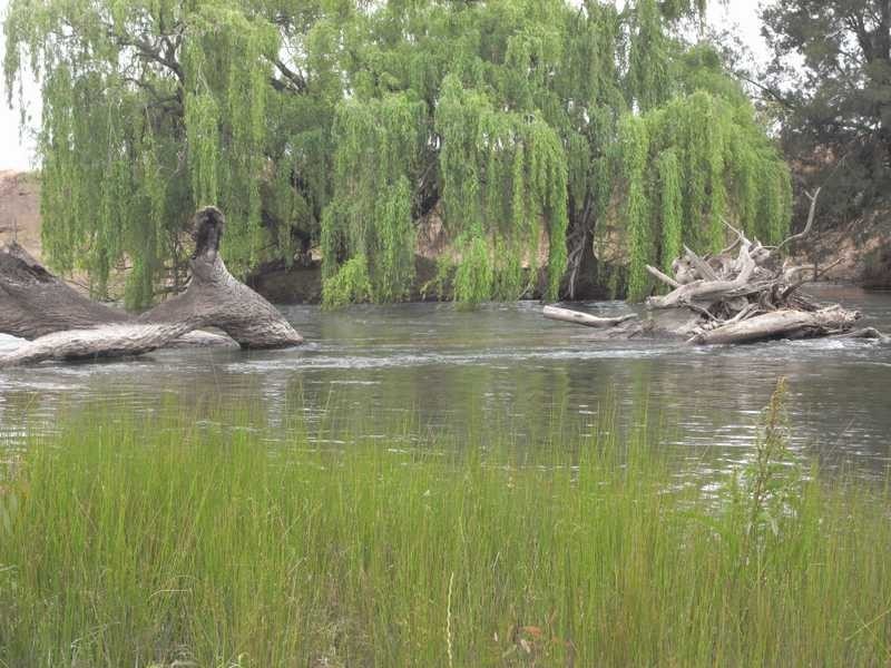 Murrumbidgee River, Gundagai NSW 2722