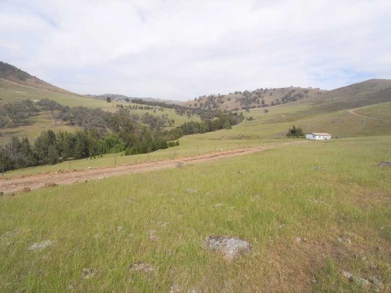 360 Kangaroo Mount Road, Gundagai NSW 2722
