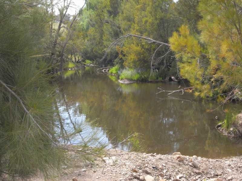 360 Kangaroo Mount Road, Gundagai NSW 2722